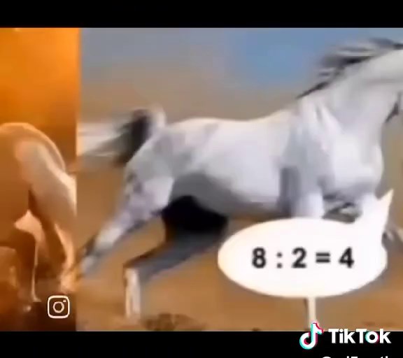 Improve Your Brain Health at Math Gym