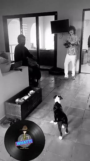 Angels Of LP Argentina on TikTok