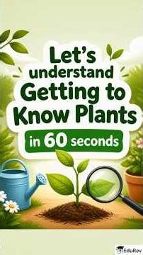 Getting to Know Plants || Class 3 || NCERT The World around us (Our Wondrous World)