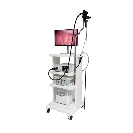 Veterinary Flexible Video Endoscope Machine Veterinary Gastroscopy Colonoscopy Price of Colonoscopy Machine