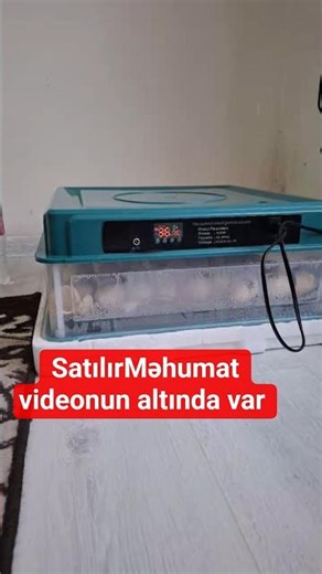 050-471-31-55 Satılır: Tam avtomatik inkubator 75 tutumu problemi yoxdur, bütün funksiyaları işləkdi