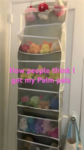 #palmpals #palmpalsparty