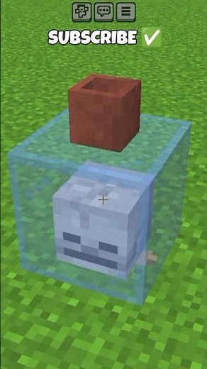 Skull Bottle! | #shorts #minecraft
