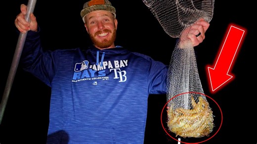 What happens when you don’t have time to reset the nets