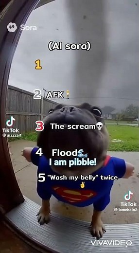 pibble compilation #sora #sora2