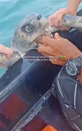 Ela não estava se comportando de forma dócil. Ela está extremamente debilitada.Pouco se fala, mas seleção natural também ocorre por sorte de não ser afetado pelos fatores naturais, fazendo que somente os indivíduos mais adaptados ao meio sobrevivam a essas mudanças ou impactos.