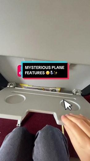Have you noticed any of these features on the plane? 🧑🏻‍✈️ #funfact: they may look small but they serve veryyyyy important purposes! 🥸💡✨ #traveltips #myairline #mychoice #airbus #aviation #tiktokmalaysia #fyp