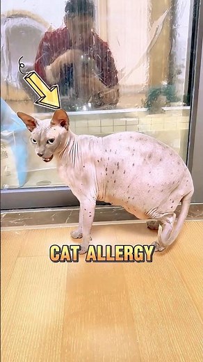 The man made the cat hate him.