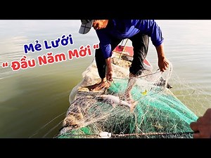 " Bủa Lưới " trên Sông Mê Kông, Lai Rai cá Sủ Kho Cà những ngày đầu Năm Mới 2026 | Dân Lục Tỉnh