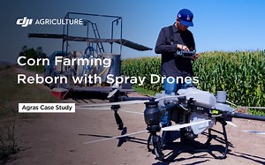 Join drone pilots Juan Carlos, Alfredo Gonzalez, and Abelardo Rodriguez at their farm in northern Sinaloa as they bring corn farming to new heights. 🚀 Using drones, they can spray pesticides precisely when and where they need, without waiting for crewed aircraft schedules. They even have the flexibility to spray at night when pests are most active. This technology helps them save water, save time, and achieve greater harvests. Learn more👉https://www.youtube.com/watch?v=NttIc6eMfig | DJI Agricu