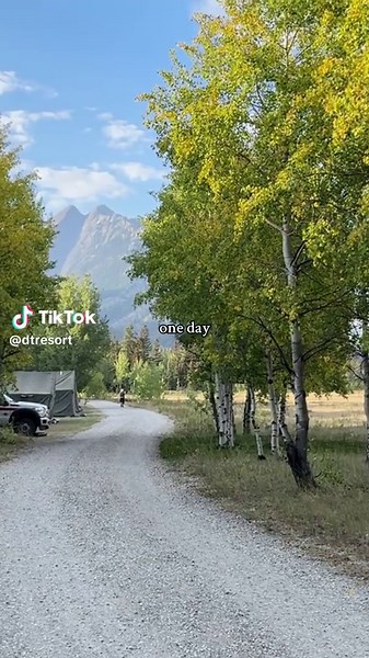Autumn came a little early this year I went for a walk and captured these little moments Golden leaves, a cool breeze, and sunlight peeking through the trees It’s quiet, it’s peaceful… and it makes my heart happy #AbrahamLake #DavidThompsonResort #CanadianRockies #dtrcamp #HiddenGem