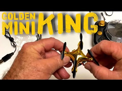 Holyton HT02 Golden Mini Drone Setup Flight and Review