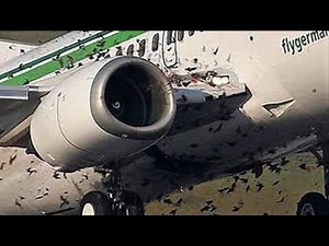 हवाई जहाज के इंजन में पक्षी...क्या हुआ इसके बाद ?? ।। BIRD IN AEROPLANE ENGINE