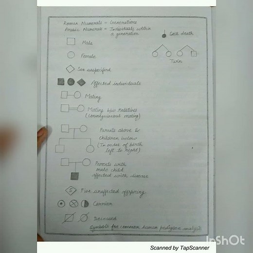 Study of prepared pedigree charts of genetic traits Class 12 Biology Practical