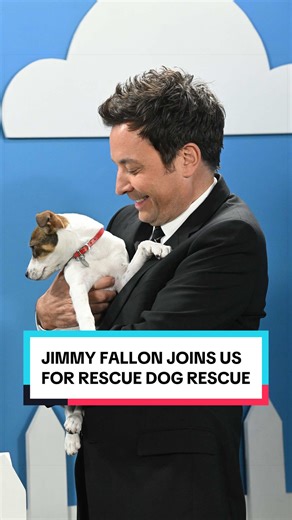 Jimmy Fallon Teams Up for Rescue Dog Adoption
