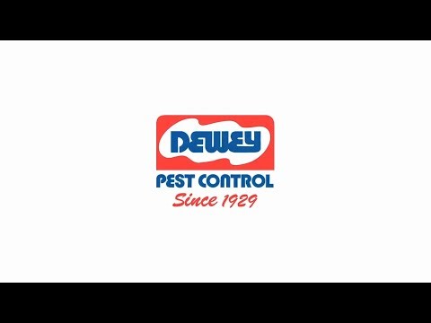Career Opportunities at Dewey Pest & Termite Control