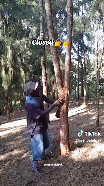 Mapangale Dance Performance by Comedian Joshua Jelpak