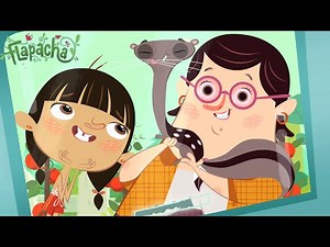 Flapacha | Animaux de compagnie ! | Épisode entier en HD