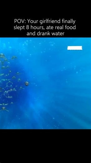 cockilaa on Instagram: "🥰 Interesting Fact: Finding Nemo (2003) — The production team went through extensive training and research to capture the realistic movements of sea creatures, even taking scuba diving trips to Hawaii to study the Great Barrier Reef’s ecosystem. This meticulous attention to detail ensured that the movie and series maintained an authentic underwater atmosphere while portraying the vibrant life of the ocean. Director Andrew Stanton provided the voice for Crush the sea turt