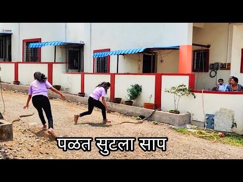 पळत सुटला साप आणि सापाच्या मागे मी सापडता सापडेना हा साप🙆🏻‍♀️😅#shwetasutarwildliferescuer