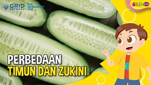 Timun dan zukini memiliki bentuk yang mirip. Apakah teman-teman bisa membedakannya? Zukini dan timun sering kita gunakan sebagai bahan masakan. Yuk cari tahu perbedaan zukini dan timun! | GridKids