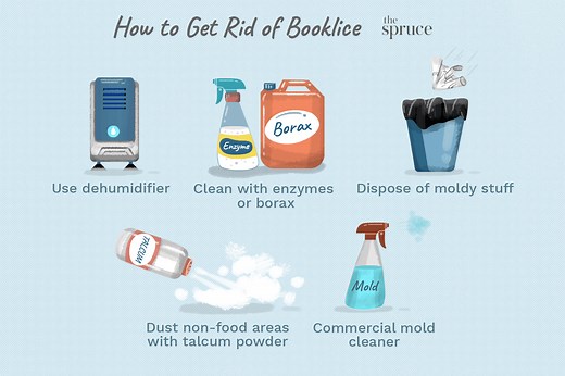 7 Simple Ways to Get Rid of Psocids or Booklice