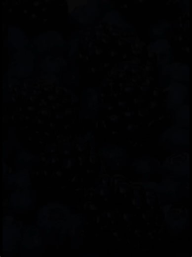 Delicious Blue Foods You Need to Try