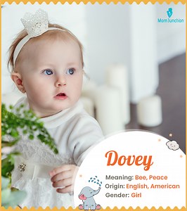Dovey Name Meaning, Origin, History, And Popularity