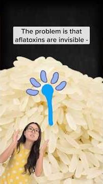 Aflatoxins and food safety!