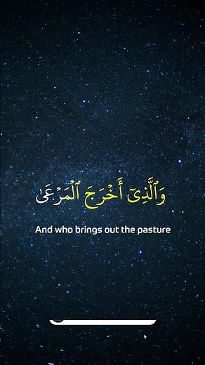 Surah Al Ala (The Most Hight) | Mishary Rashid Alafasy | سورة العلا