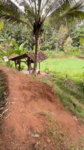 266K views · 4.6K reactions | Ngaji ceuk urang sunda.. #pedesaansunda #tempodulu #rumahunik #jamandulu #baheula #sedih #perjuangan #hidup #desa #kampung #pedalaman #reels #video #videoindonesia #alamindonesia #viralvideo #ceramahsunda #ceramahsingkat #pepeling #papatahsunda | Niat Kuring | Facebook