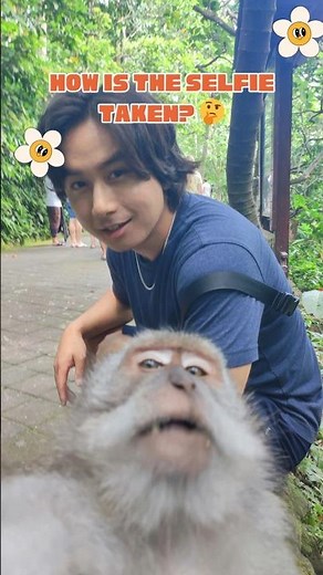 How the Famous Monkey Selfie Was Taken | The Story Behind the Viral Shot