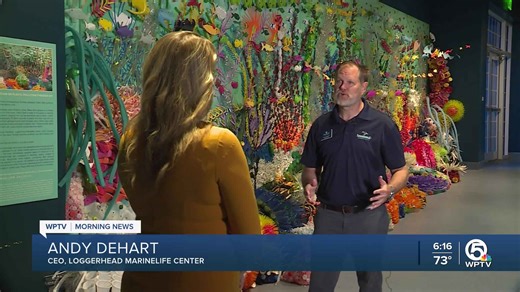 Loggerhead Marine Life Center summer camp caters to aspiring sea turtle researchers
