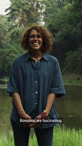 115 reactions · 16 shares | General Director of Les Amis des Bonobos...