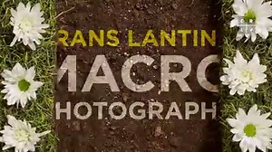 21K views · 139 reactions | Spring. It's the perfect time to take in...