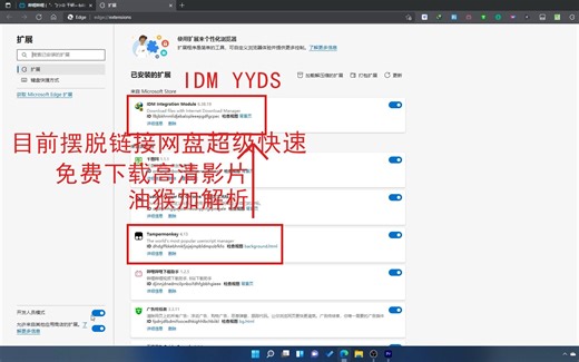IDM详细讲解使用方法