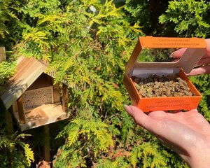 🐝 Our starter bee kits can make a bee keeper out of anyone! Leafcutter bees are the easiest b...