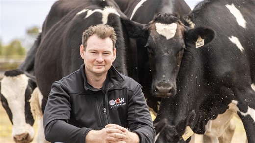 ‘Forgotten market’: Farmers on domestic dairy, global opportunity