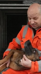 10K views · 138 reactions | West Midlands Fire Service has a newly-qualified search and rescue dog who could be sent to disaster zones around the world. Luna, a Belgian Malinois, is one of just a handful of dogs who can do the role in the UK. #bbcmidlands #firedog #westmidlands | BBC Birmingham | Facebook