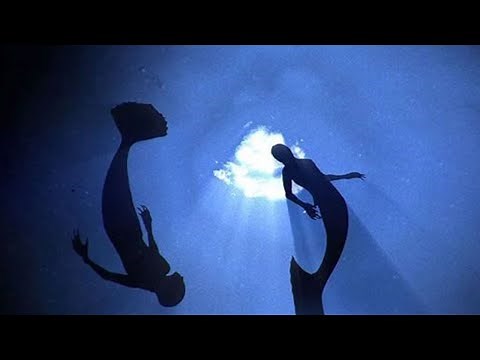 MERMAIDS - Real or Fake?
