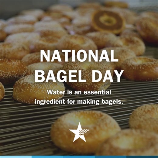 Happy #NationalBagelDay! 🥯💧 Did you know that many people think the secret to a perfect bagel is in the water? From the boil to the bake, water plays a starring role in creating that chewy texture and golden crust. We’re proud to provide our customers with safe, clean, high-quality water. Learn more and check out our water quality reports by zip code here: https://amwater.com/corp/Water-Quality-Wastewater-Service/water-quality-reports | Indiana American Water