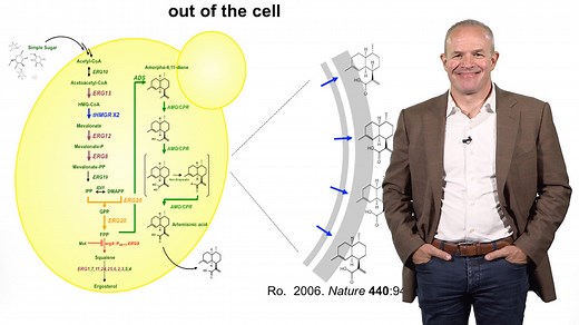 Engineering Microbes to Solve Global Challenges • iBiology
