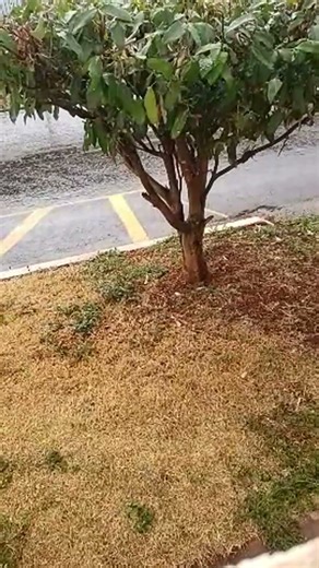 Destaque ao vivo Dia a Dia com Orliene está ao vivo! SEGUNDOU! PROSA NA JANELA🪟 #diadiacomorliene