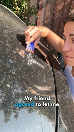 Removing $75,000 Tesla logos | Ali Spagnola