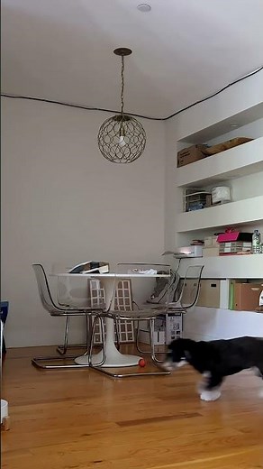 POV: living with a sprained ankle