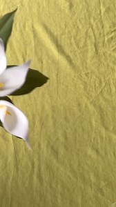 1K views · 30 reactions | Ever wondered how to grow and care for...