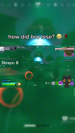 Best Fortnite Loadout with Meowskulls