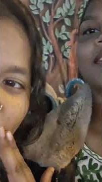 bondamunda //campagarh program # lovely dance # santali courier//