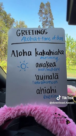 Hawaiian Greetings for All Times of Day