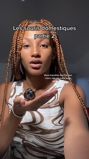 Tout savoir sur l'élevage des souris domestiques